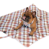 ON-THE-GO PET MAT: Rodeo King