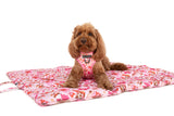 ON-THE-GO PET MAT: Rodeo Queen