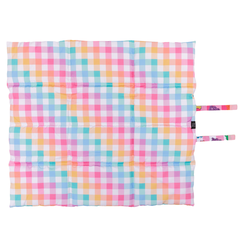 ON-THE-GO PET MAT: Beary Sweet/Rainbow Gingham (NEW!)