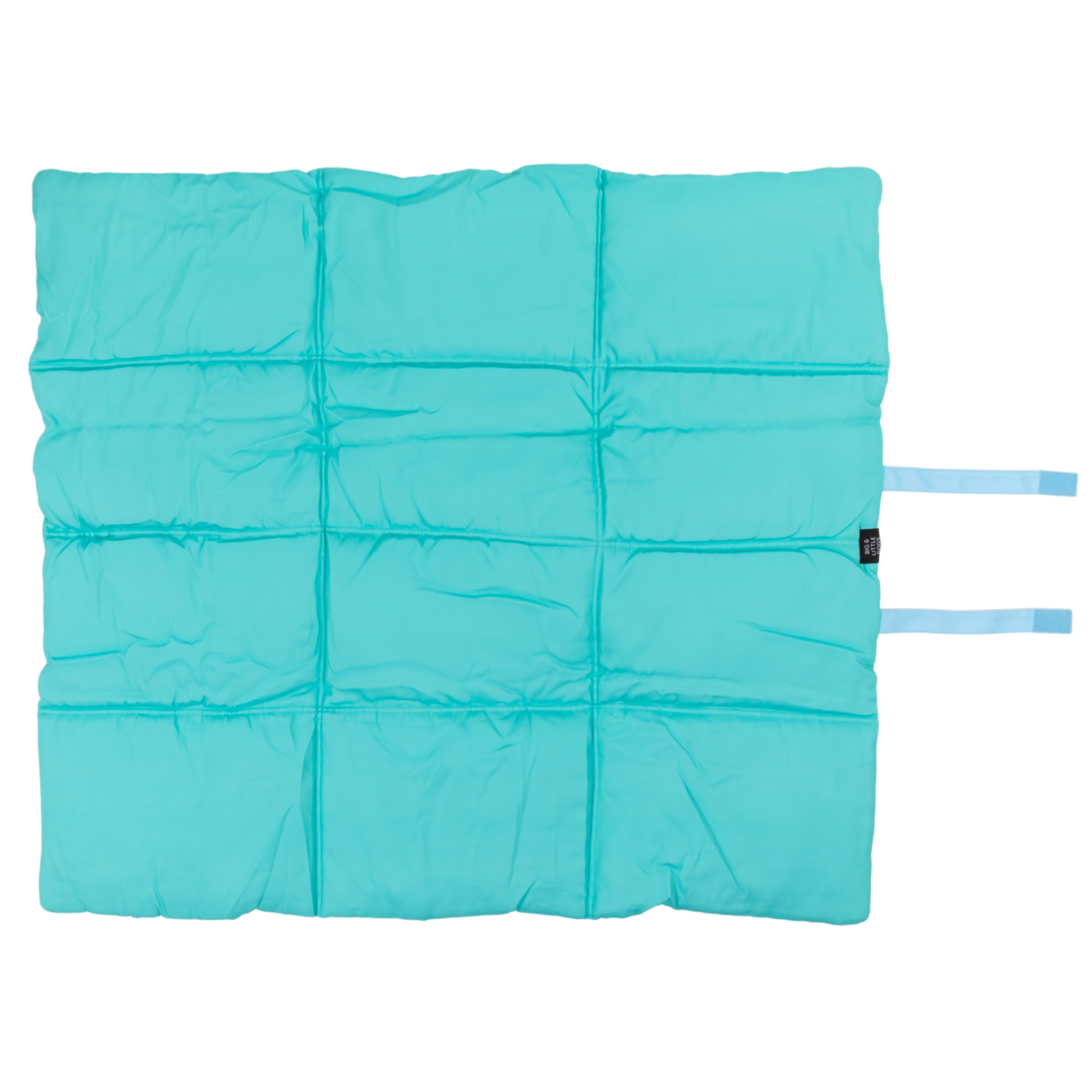 ON-THE-GO PET MAT: Blue & Aqua