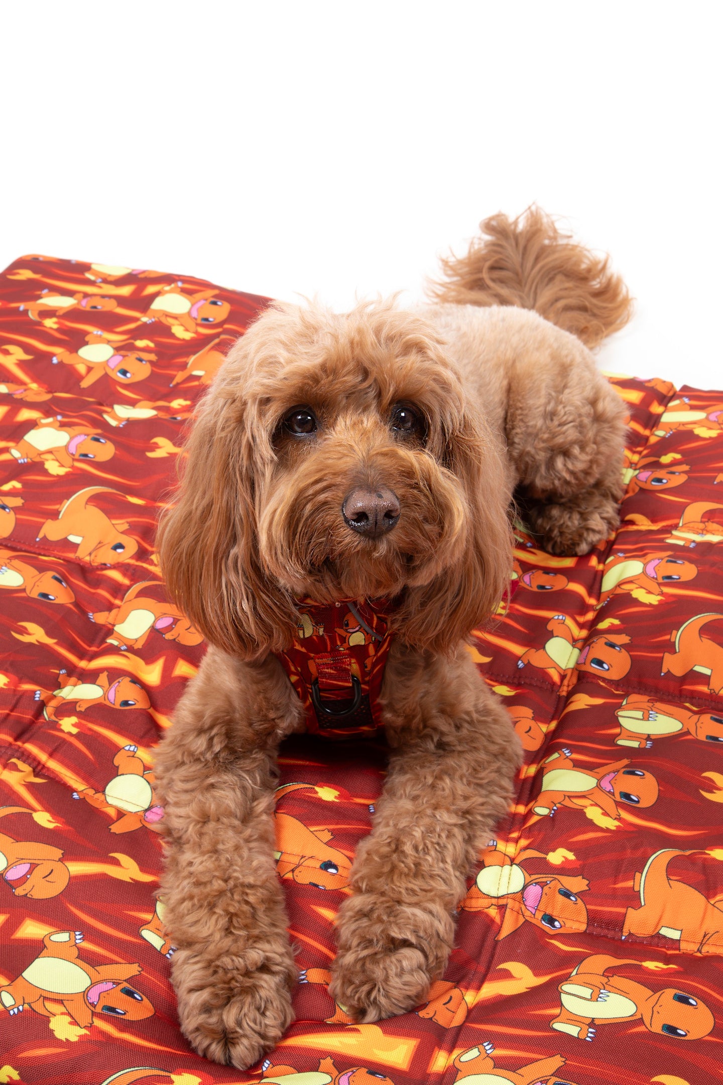 ON-THE-GO PET MAT: Pokémon Collection - Charmander