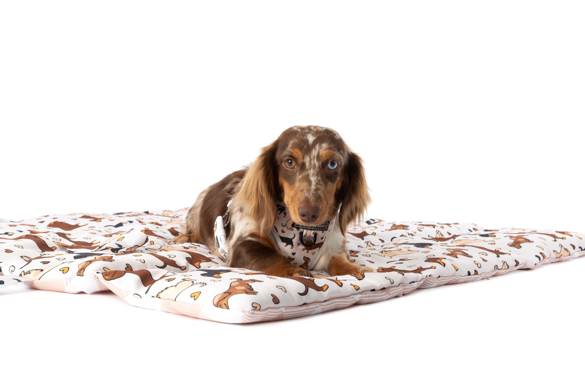 ON-THE-GO PET MAT: Dashie Lovers/Latte Gingham