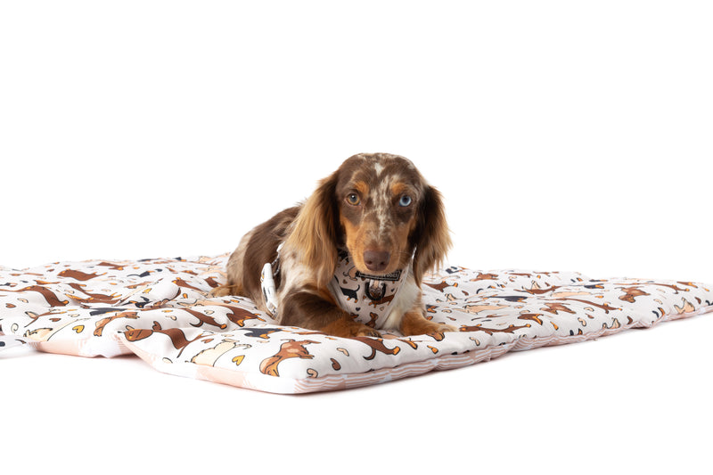 ON-THE-GO PET MAT: Dashie Lovers/Latte Gingham