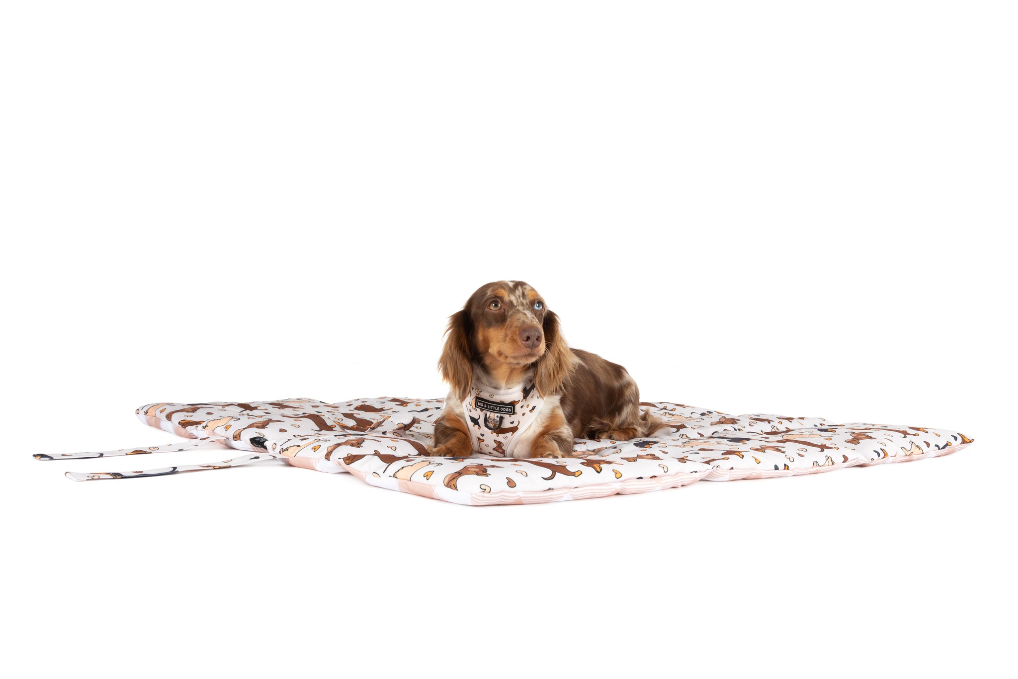 ON-THE-GO PET MAT: Dashie Lovers/Latte Gingham