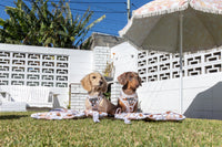 ON-THE-GO PET MAT: Dashie Lovers/Latte Gingham