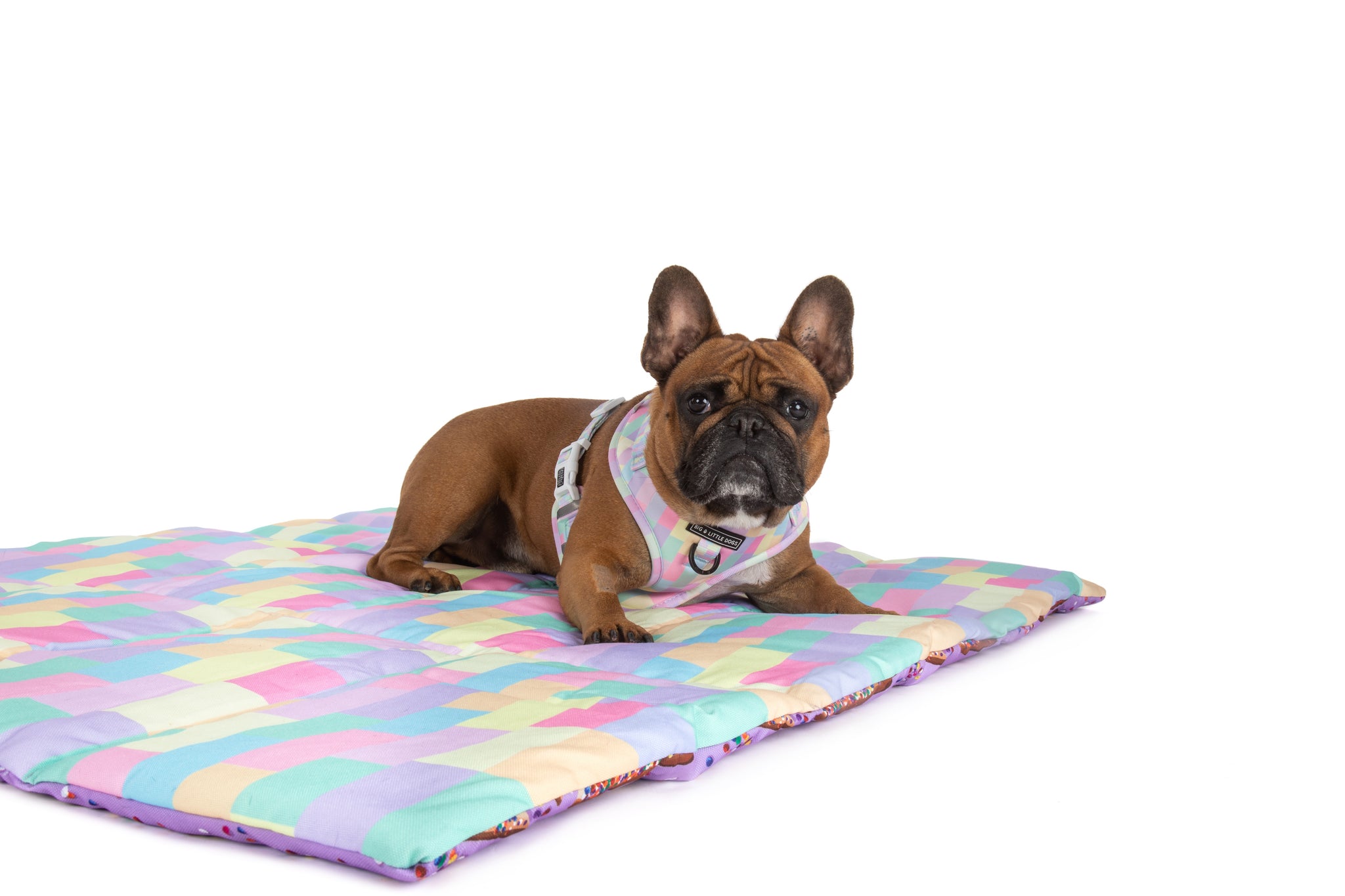 ON-THE-GO PET MAT: Purple Fairy Bread/Gelato