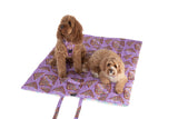 ON-THE-GO PET MAT: Purple Fairy Bread/Gelato