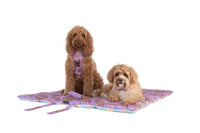 ON-THE-GO PET MAT: Purple Fairy Bread/Gelato