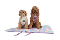 ON-THE-GO PET MAT: Purple Fairy Bread/Gelato