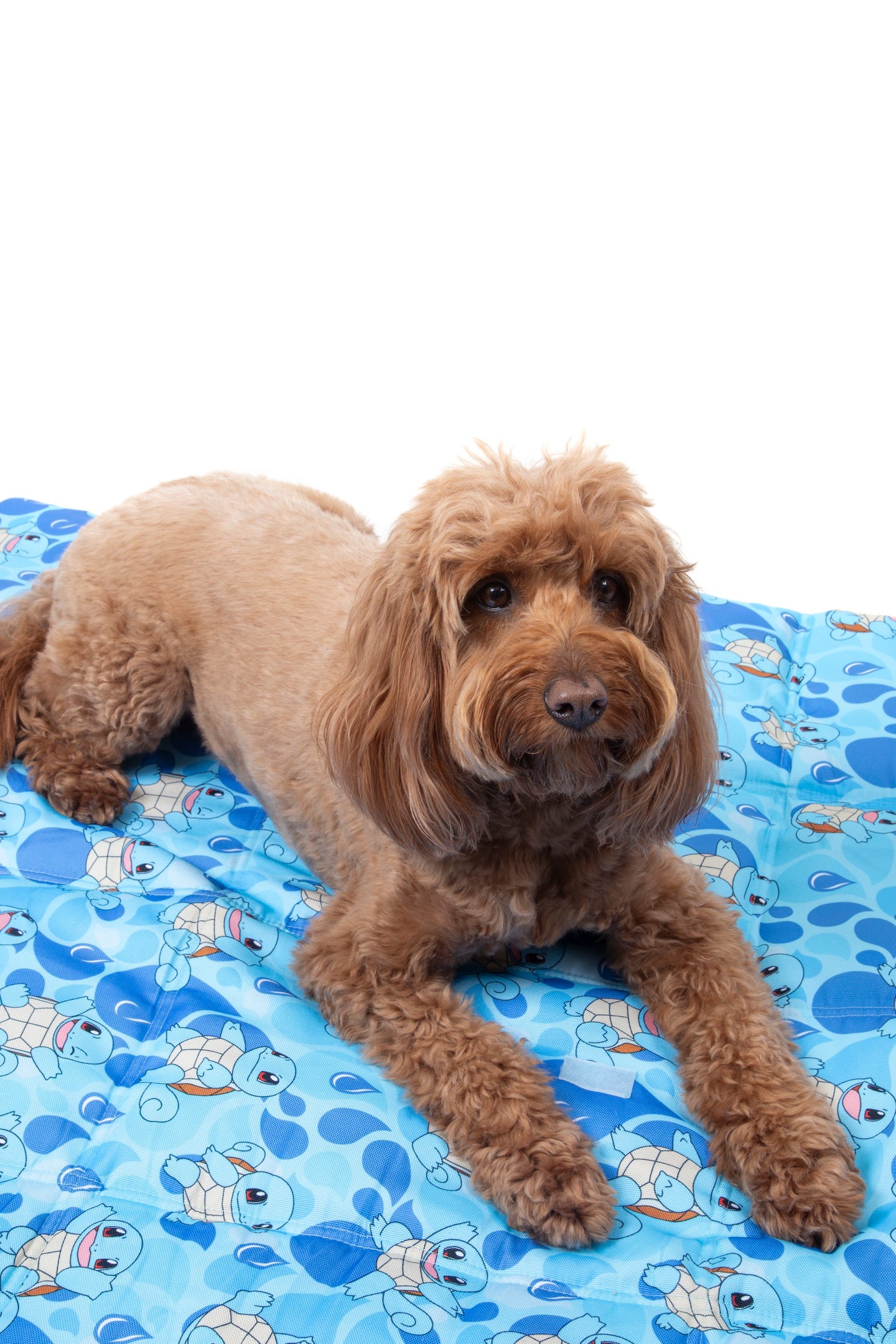 ON-THE-GO PET MAT: Pokémon Collection - Squirtle