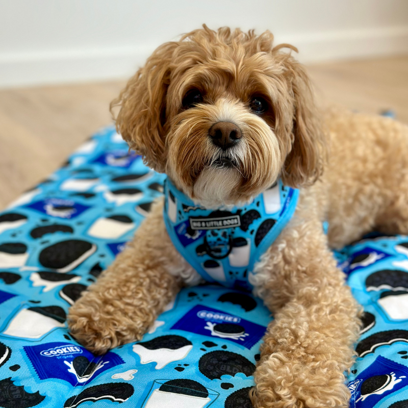 ON-THE-GO PET MAT: Cookies/Blueberry Gingham (NEW!)