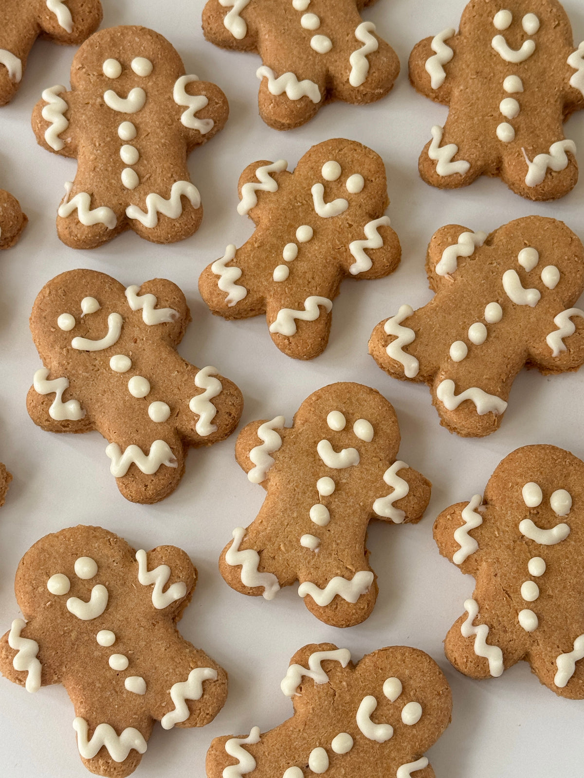 DOG TREATS | The Organic Dog Co: XL Gingerbread Man (1 Pce)