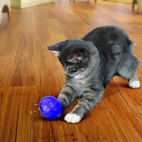 KONG (CAT): Cat Treat Ball