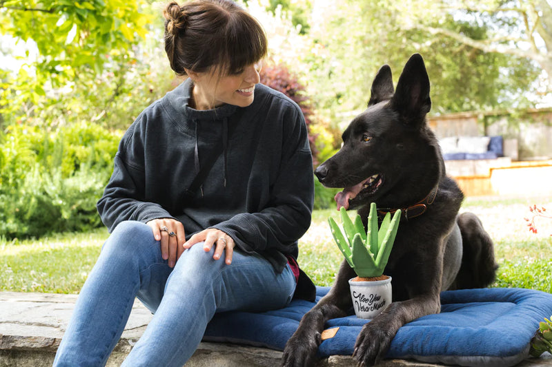 P.L.A.Y: Blooming Budddies - Aloe-ve You Plant