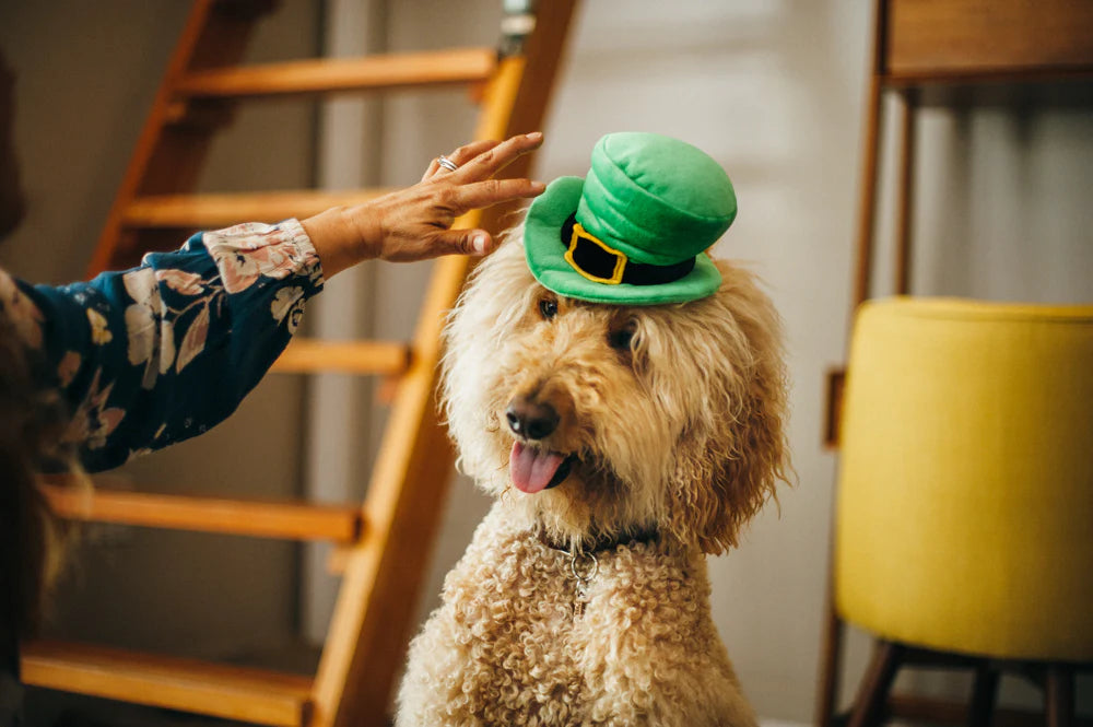 P.L.A.Y: Mutt Hatter  - Leprechaun Hat