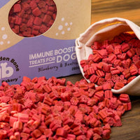 DOG TREATS | Golden Bone Bakery: Immune Boosting Dog Treats 40g