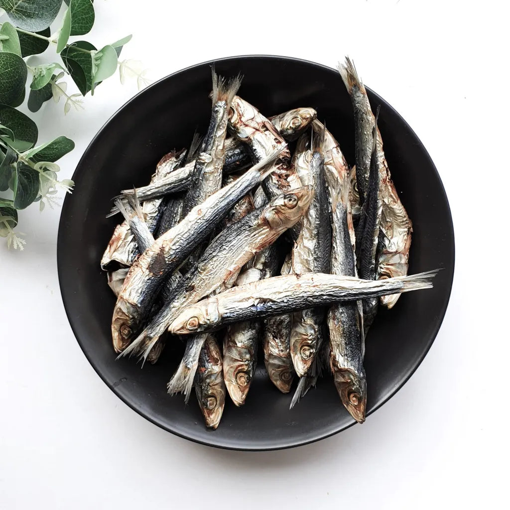 DOG TREATS: Biggies Raw Pantry | Sardines