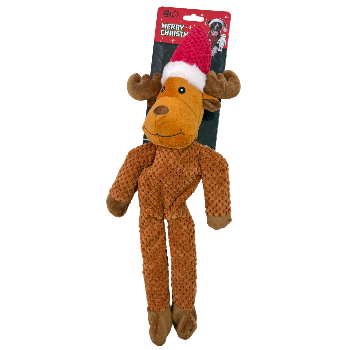 Paw Play: Extreme Reindeer