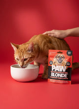 DOG TREATS L'Barkery: Paw Blonde