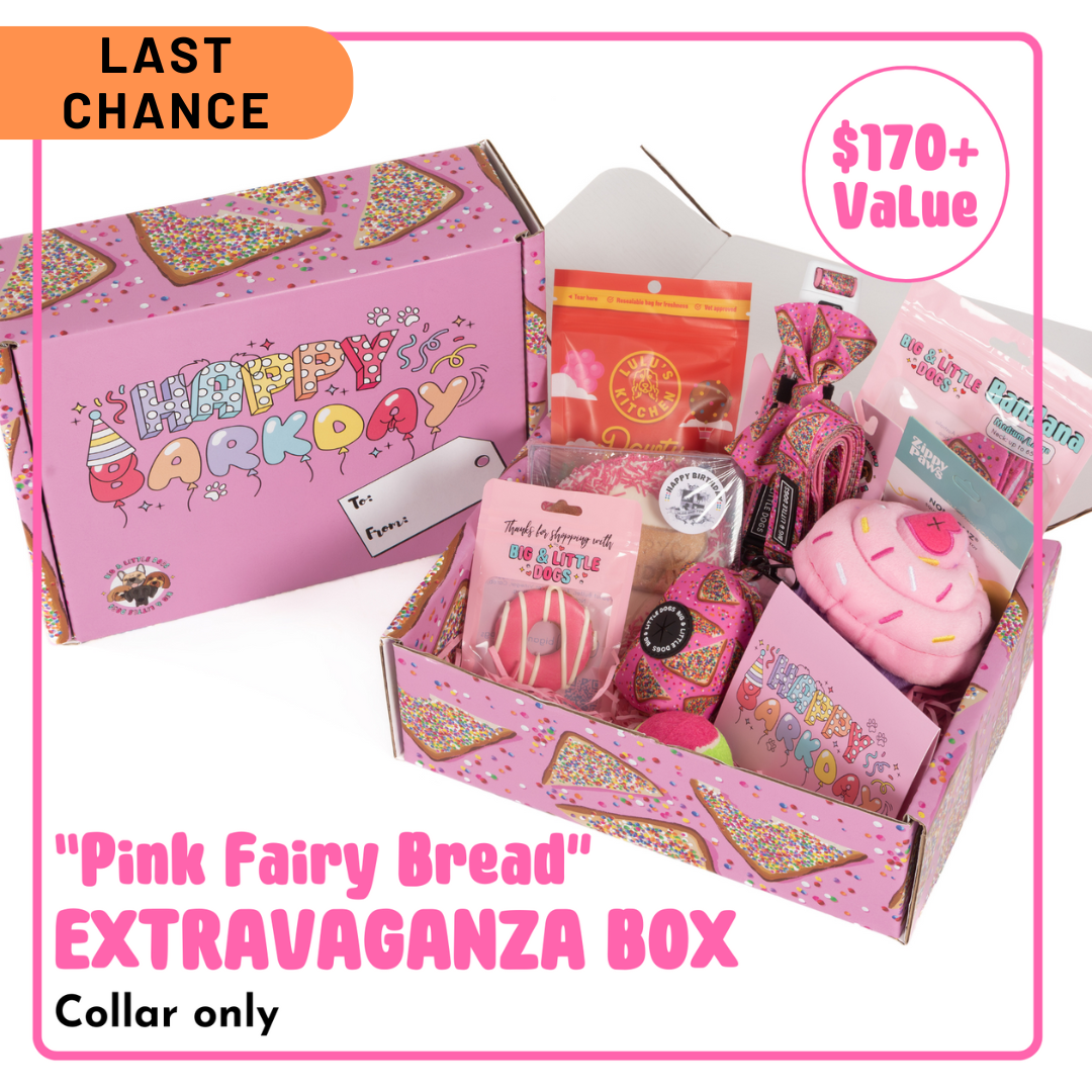 BIRTHDAY EXTRAVAGANZA BOX: "Pink Fairy Bread" Collar (SOLD OUT)