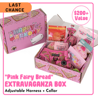 BIRTHDAY EXTRAVAGANZA BOX: "Pink Fairy Bread" Harness & Collar (SOLD OUT)