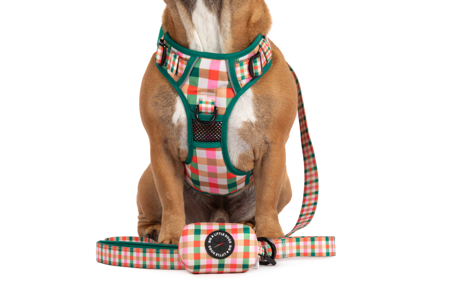 DOG POOP BAG HOLDER: Candy Lane Plaid