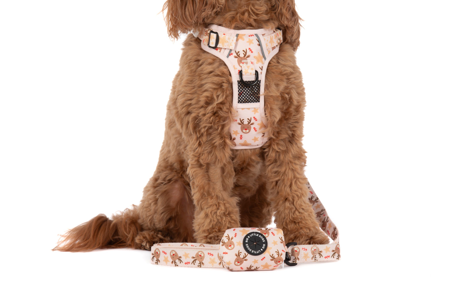 DOG POOP BAG HOLDER: Dashing Through The Stars