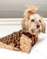 Goldpaw: DOG STRETCH FLEECE | Leopard