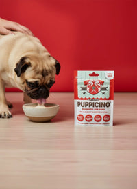 DOG TREATS L'Barkery: Puppicino Orignial - Single Shot