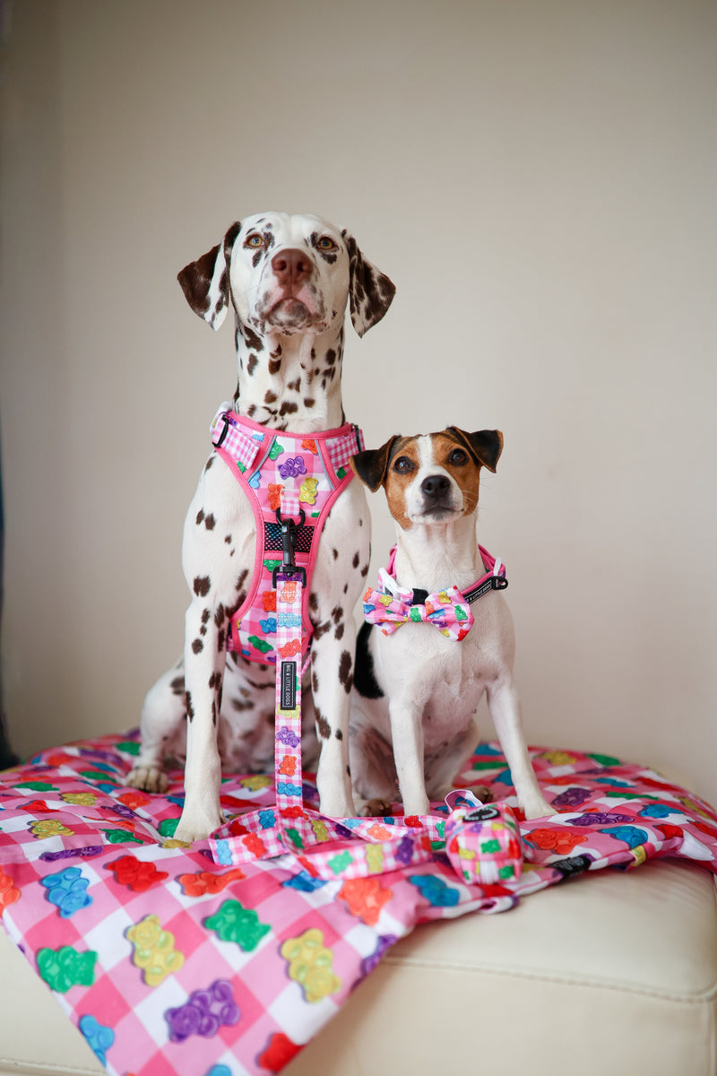 ON-THE-GO PET MAT: Beary Sweet/Rainbow Gingham (NEW!)