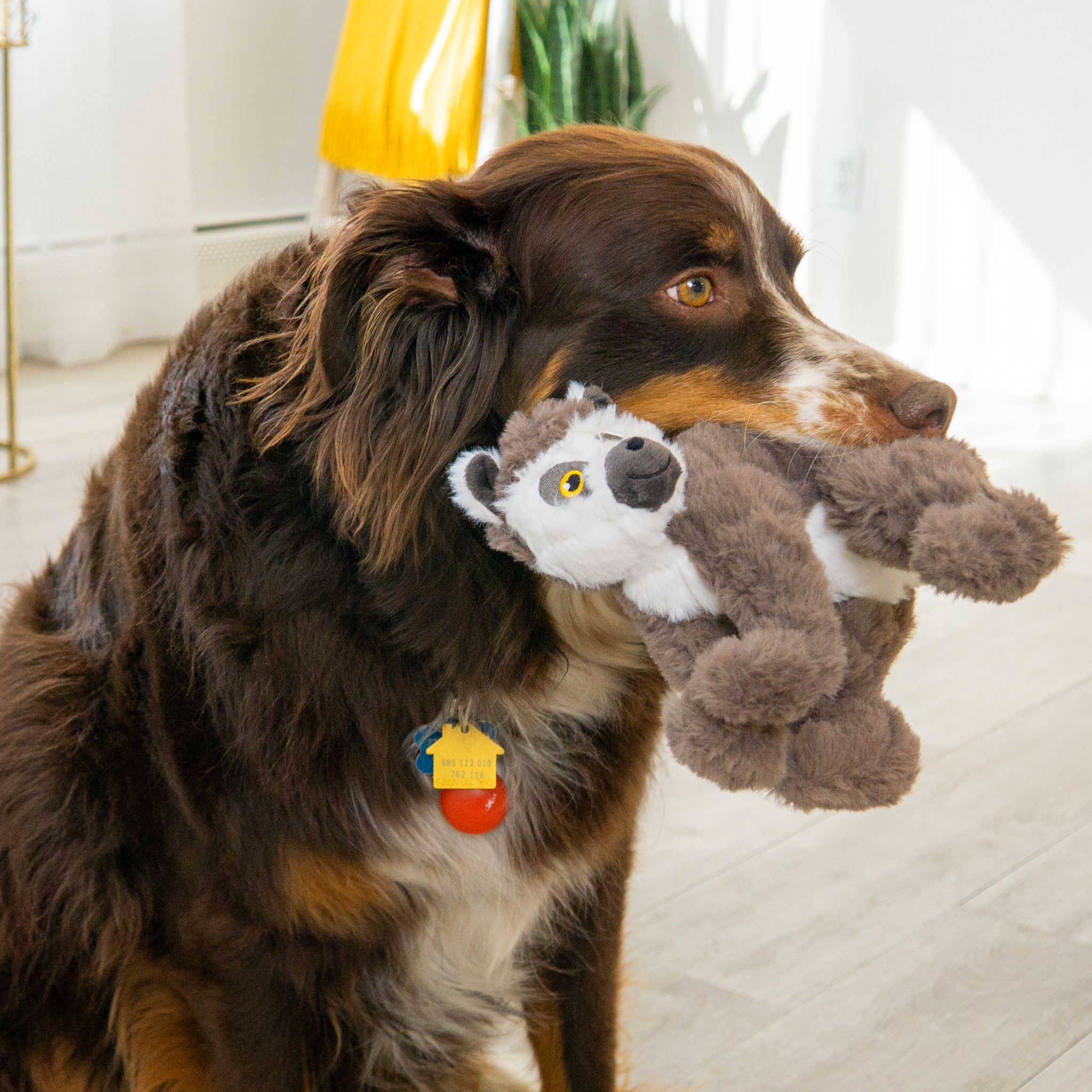 KONG: Scampers Lemur Medium