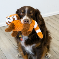 KONG: Scampers Red Panda Medium