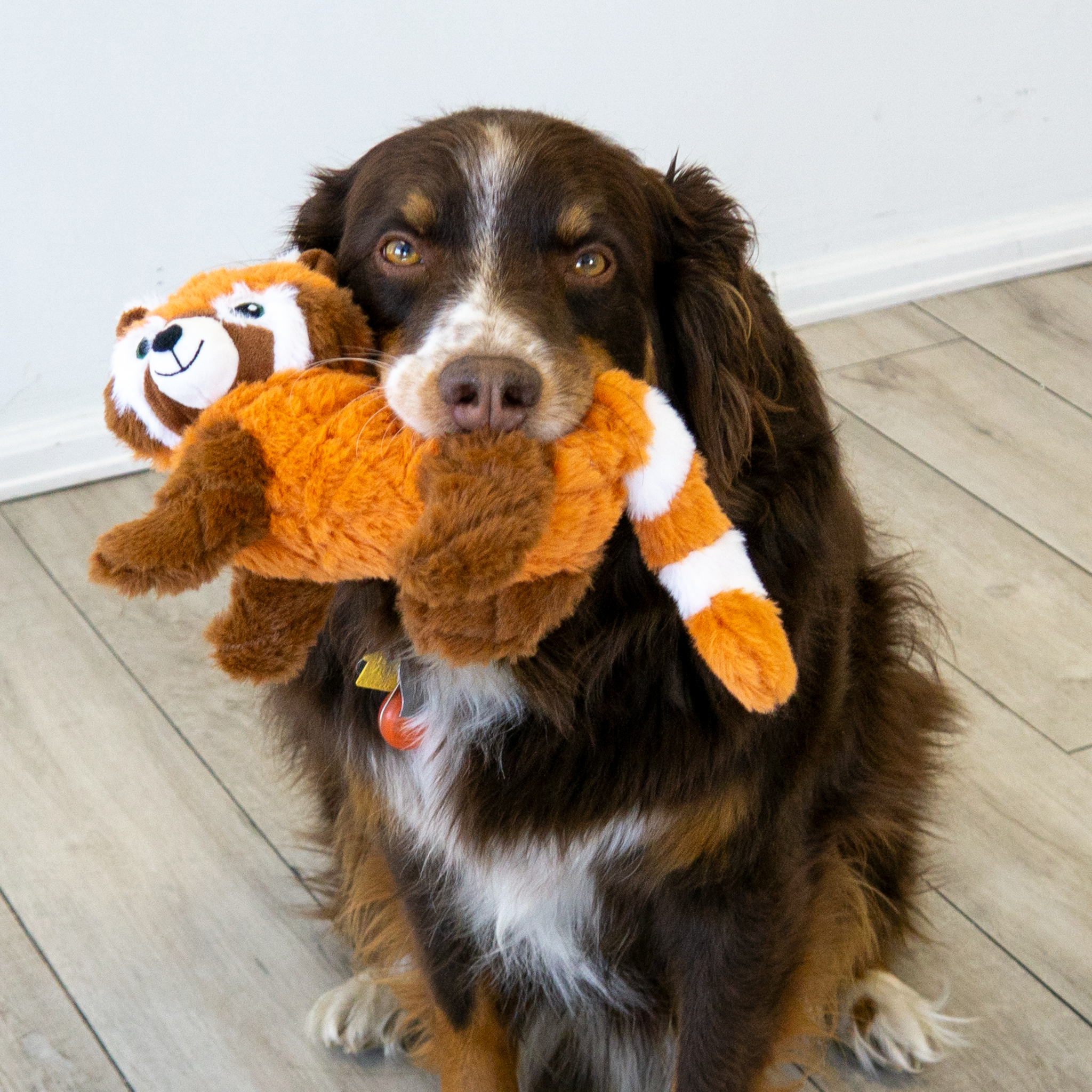 KONG: Scampers Red Panda Medium