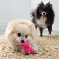 KONG: Snuzzles Mini Pig XS