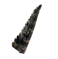 Pick 'n' Mix | Freeze Dried Croc Tail | 1 Pce