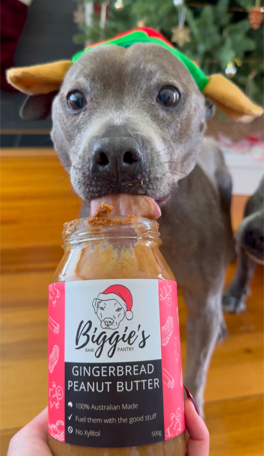 DOG TREATS: Biggies Raw Pantry | GingerBread Peanut Butter (NEW)