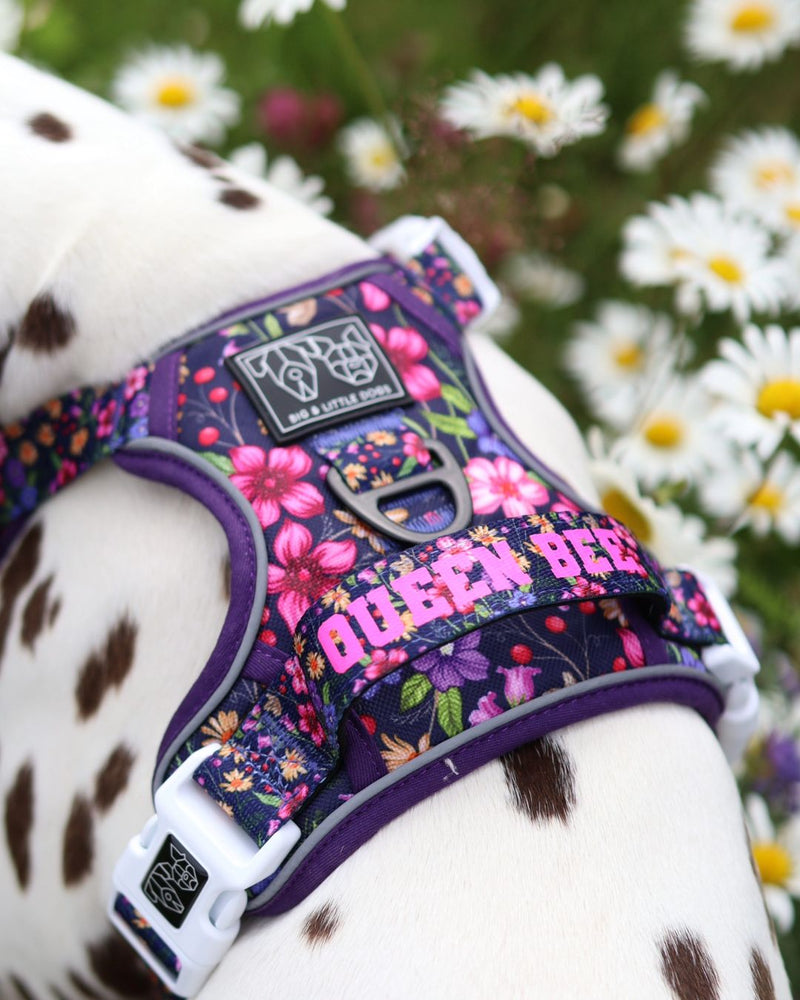 THE ALL-ROUNDER DOG HARNESS: Petal Paradise