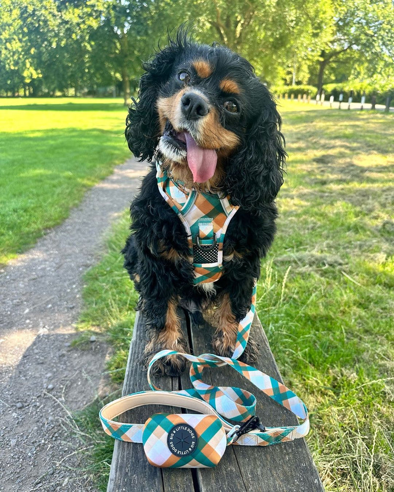 DOG POOP BAG HOLDER: Grandpa Plaid