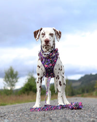 DOG POOP BAG HOLDER: Petal Paradise