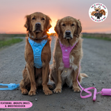 THE ALL-ROUNDER DOG HARNESS: Pink