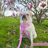 THE ALL-ROUNDER DOG HARNESS: Pink