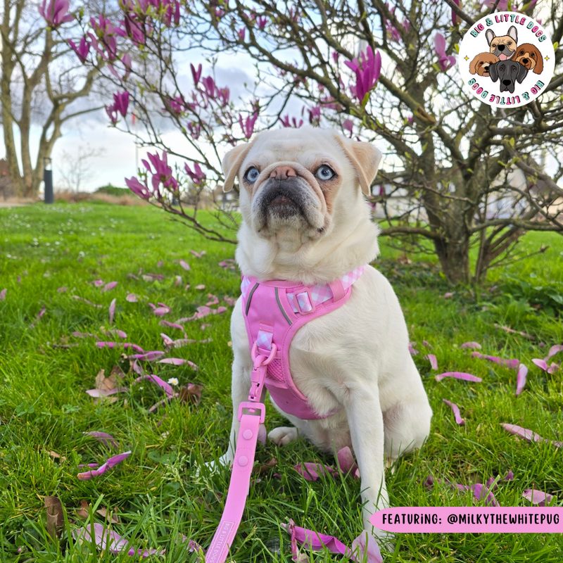 THE ALL-ROUNDER DOG HARNESS: Pink