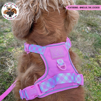 THE ALL-ROUNDER DOG HARNESS: Pink