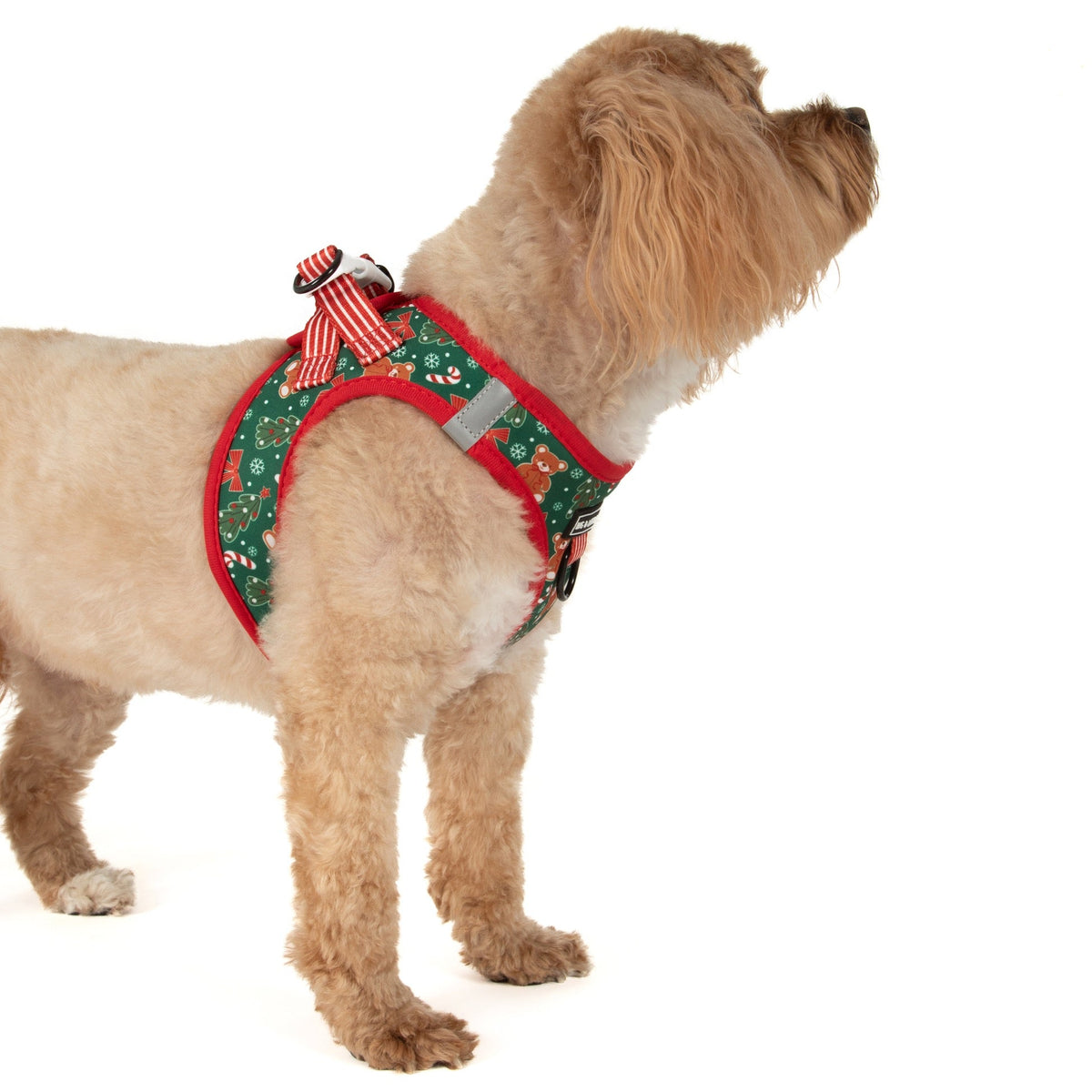 STEP-IN DOG HARNESS: A Beary Merry Christmas