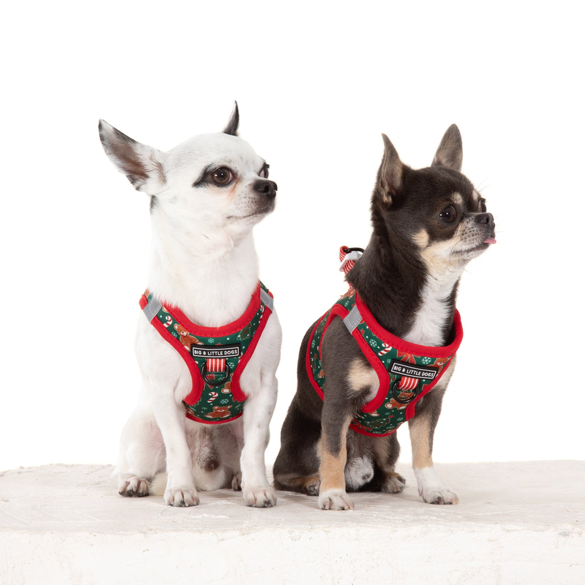 STEP-IN DOG HARNESS: A Beary Merry Christmas