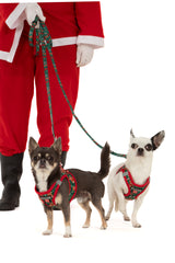STEP-IN DOG HARNESS: A Beary Merry Christmas
