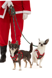 STEP-IN DOG HARNESS: A Beary Merry Christmas