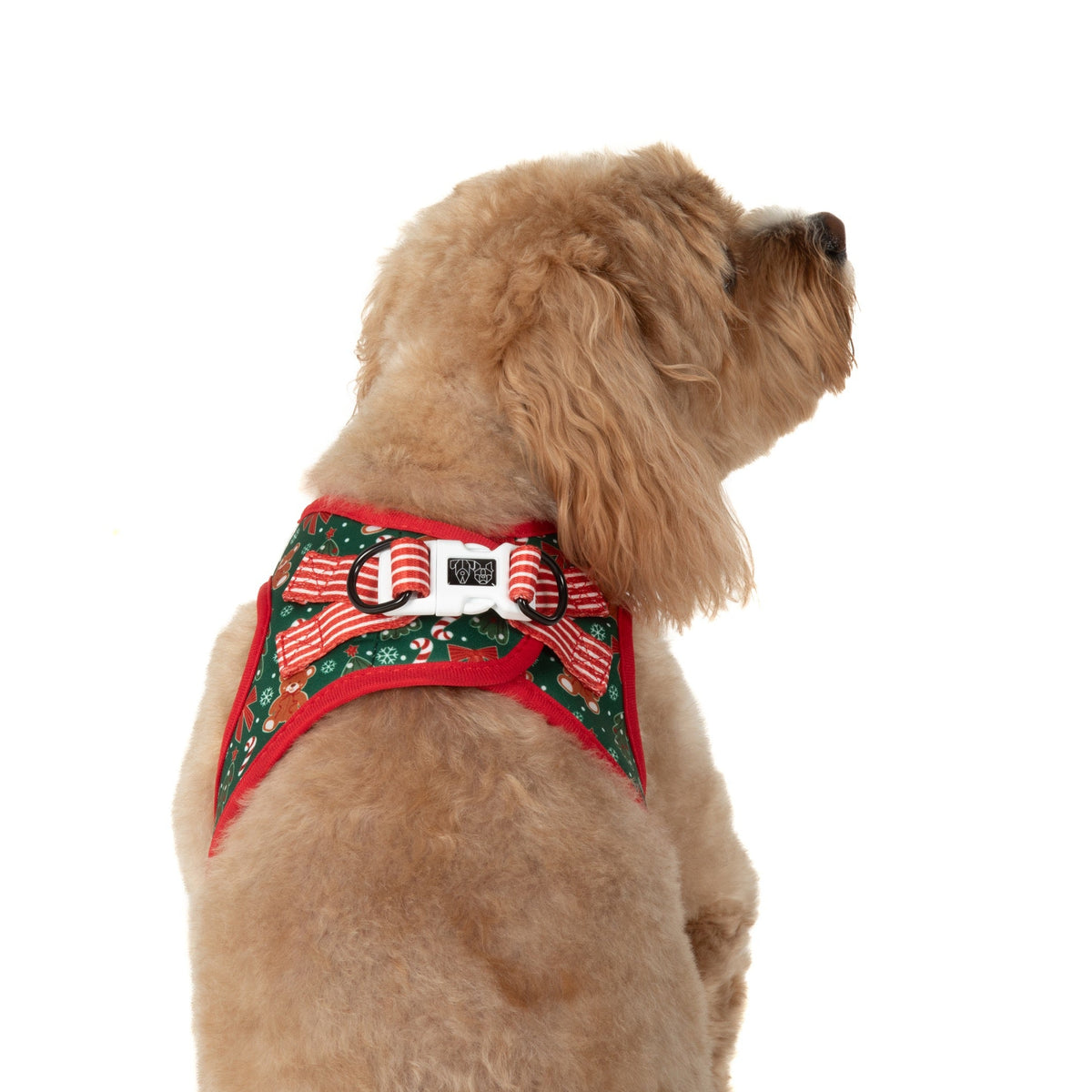 STEP-IN DOG HARNESS: A Beary Merry Christmas