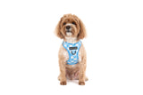 STEP-IN DOG HARNESS: Blueberry Gingham