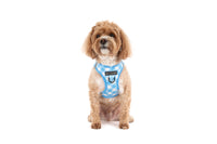 STEP-IN DOG HARNESS: Blueberry Gingham